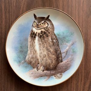 Vintage Collectible Great Horned Owl Plate By Raymond Watson